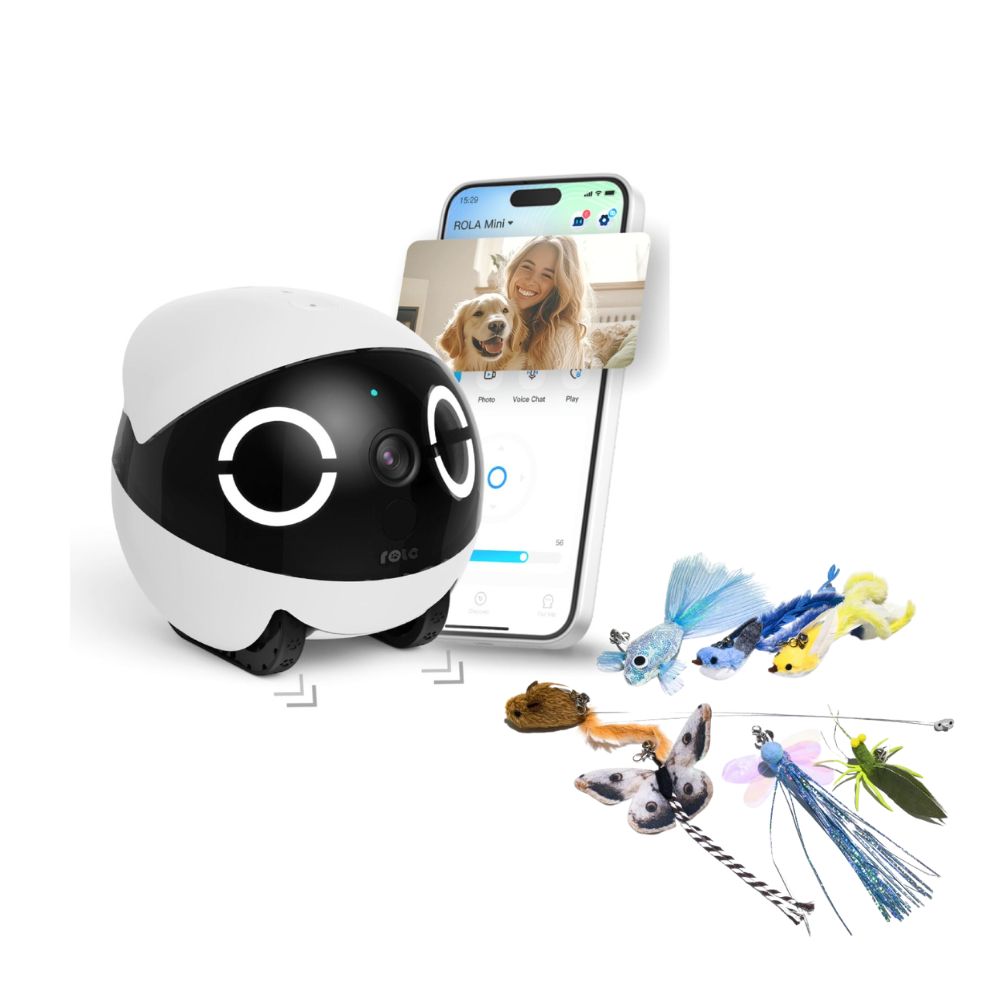 Rola Mini - Mobiler Heimtierroboter