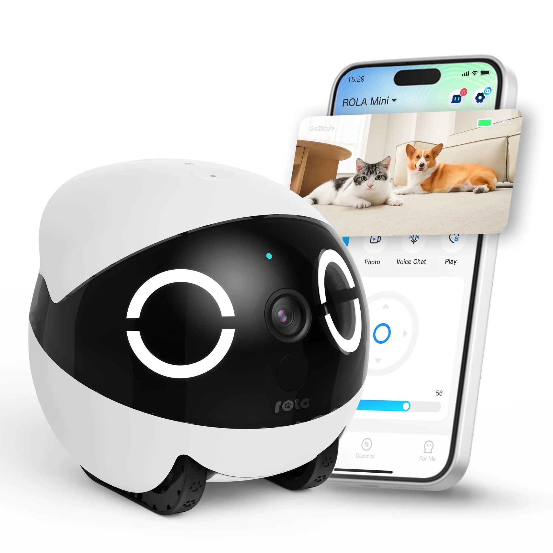 Rola Mini - Mobiler Heimtierroboter