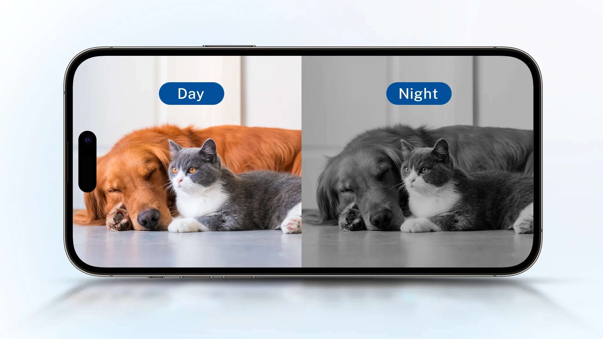 ROLA PetPal 5MP Camera 2.5K UHD Quality