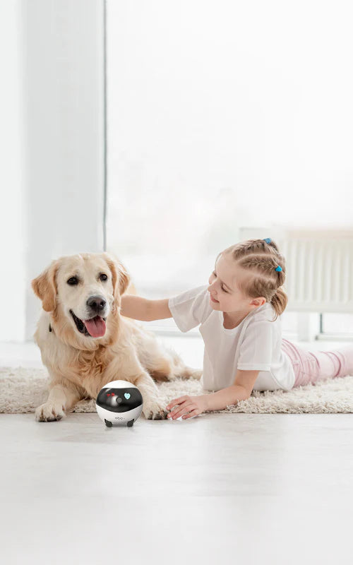 EBO Air with feather