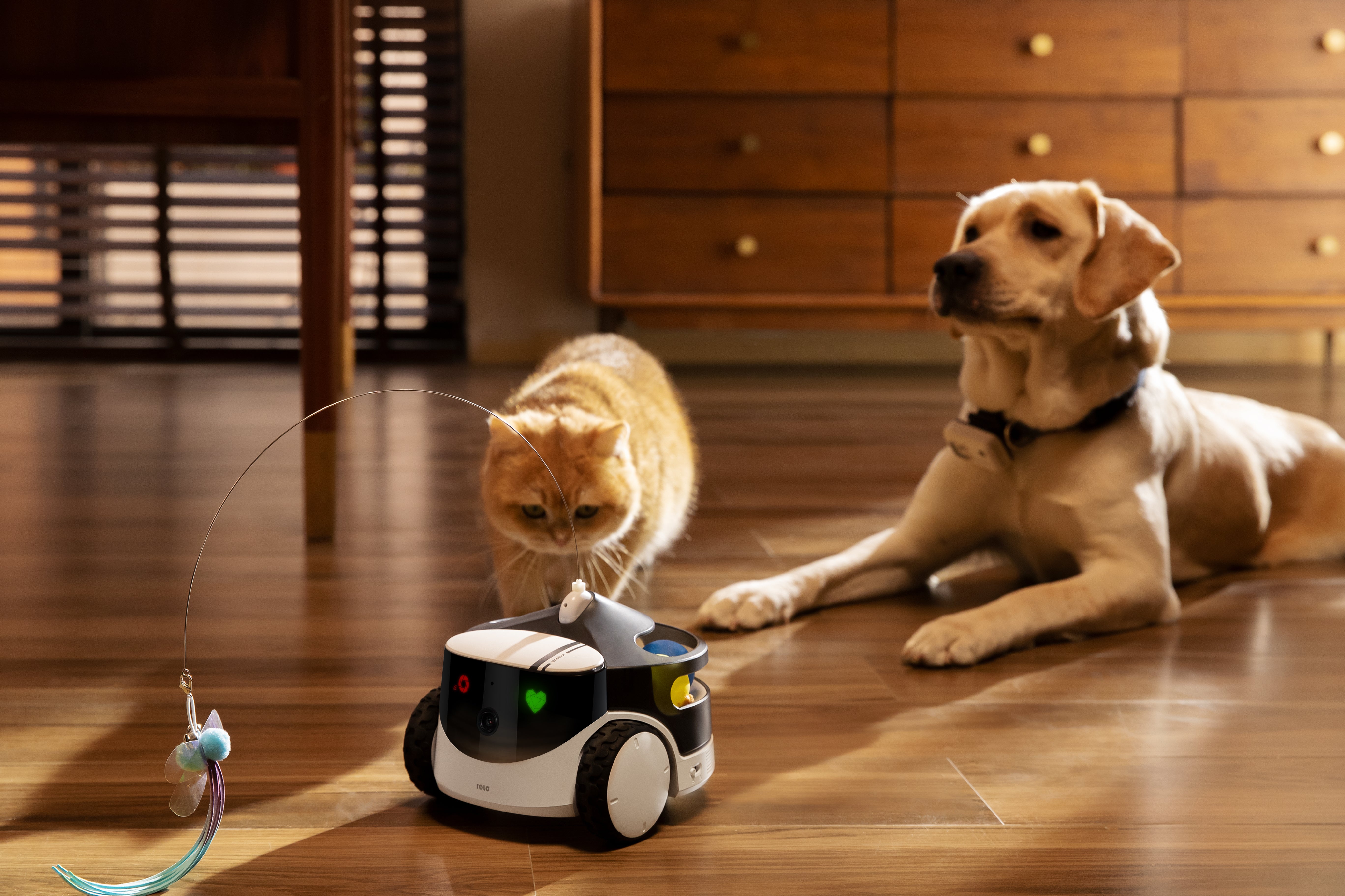 Rola PetPal - Mobile Haustierkamera + Futtermodul + Spielzeugmodul